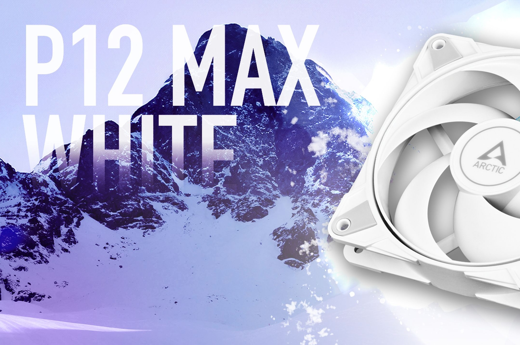 Return to FDB – the main new feature of the Arctic P12 Max White