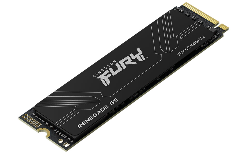 Kingston Fury Renegade G5